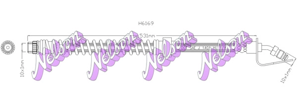 H6169