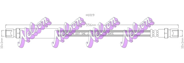 H1019