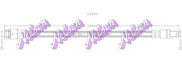 H3899