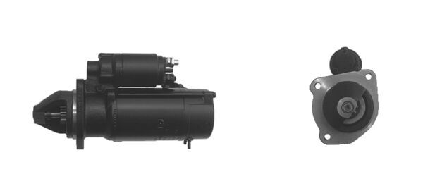 MS 65
