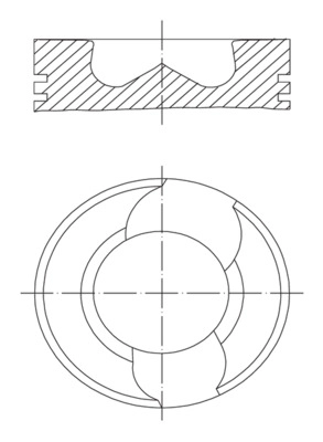 51025010155