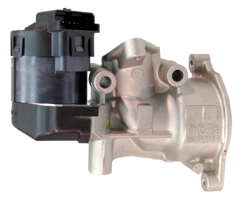 EGR004