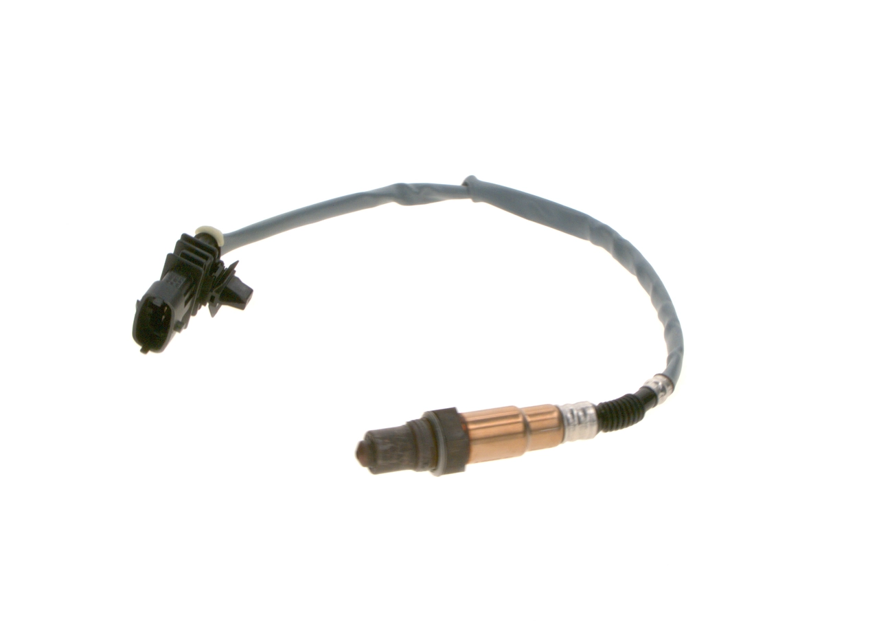 55568668