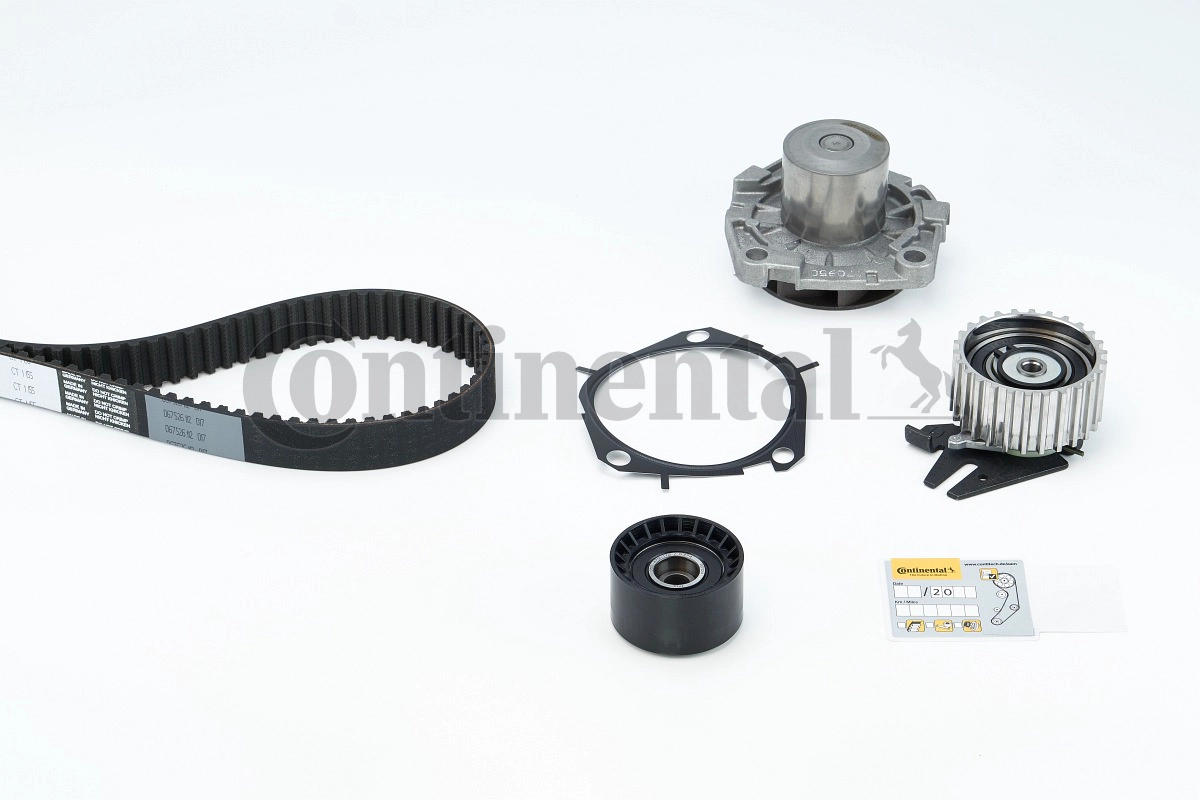 CT1155WP1