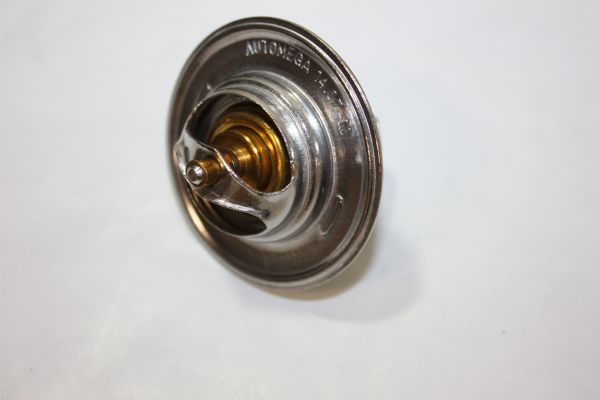 160072810