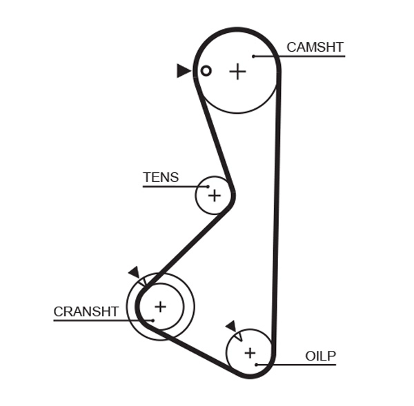 PMTB11