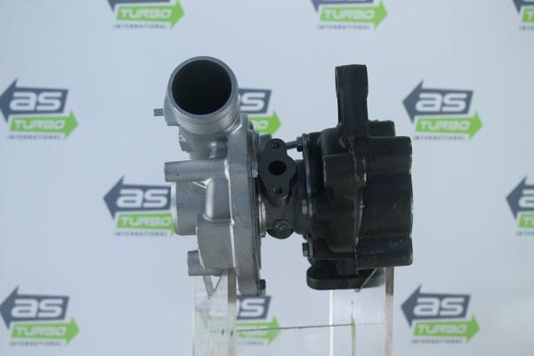 AS1244