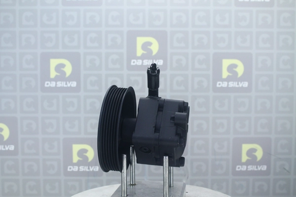 DP2973
