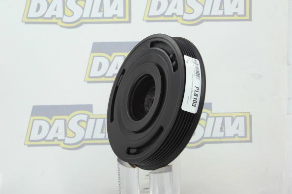 PL8103