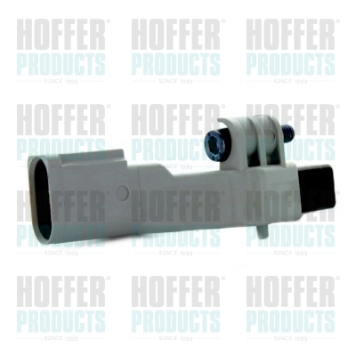 7517381