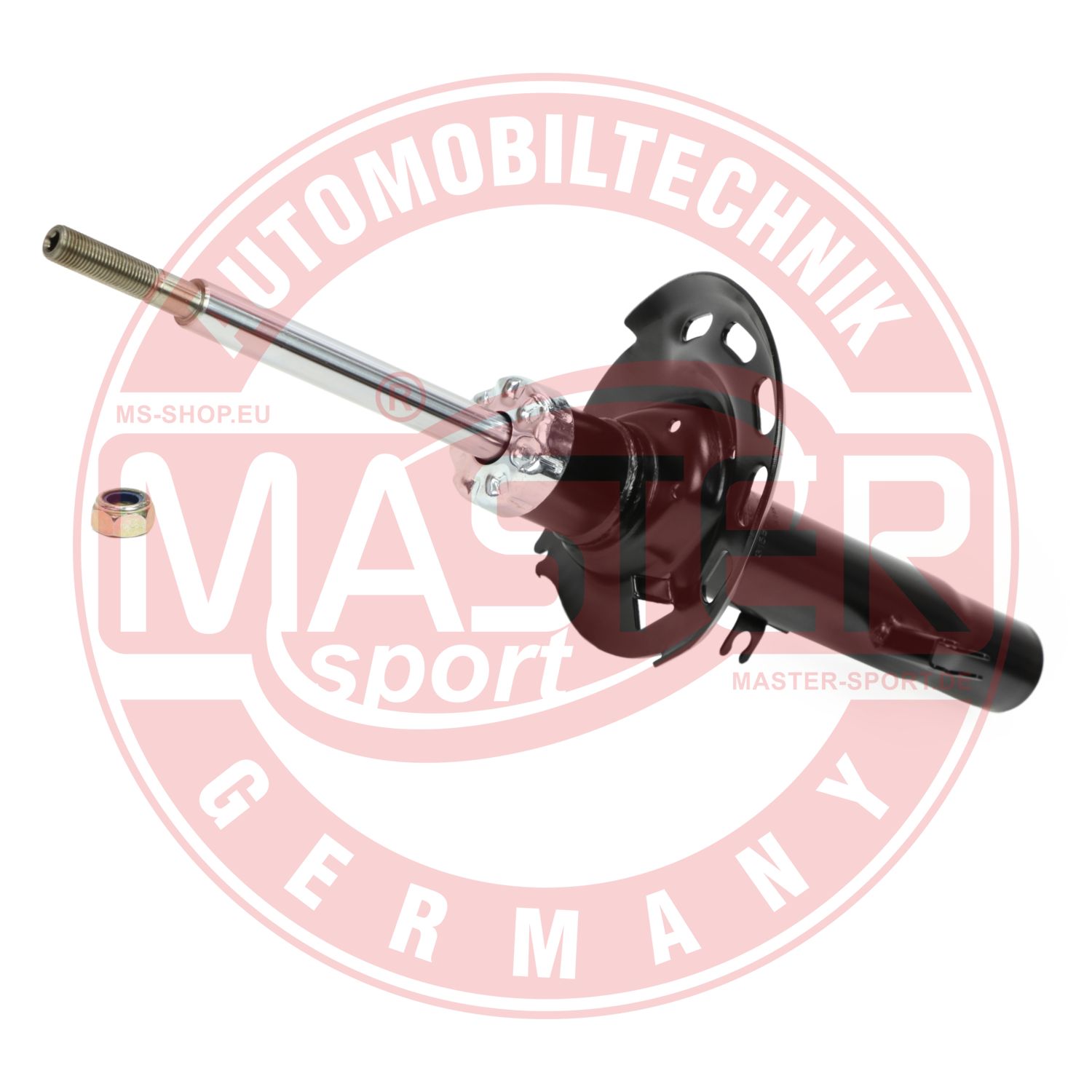 315875-PCS-MS