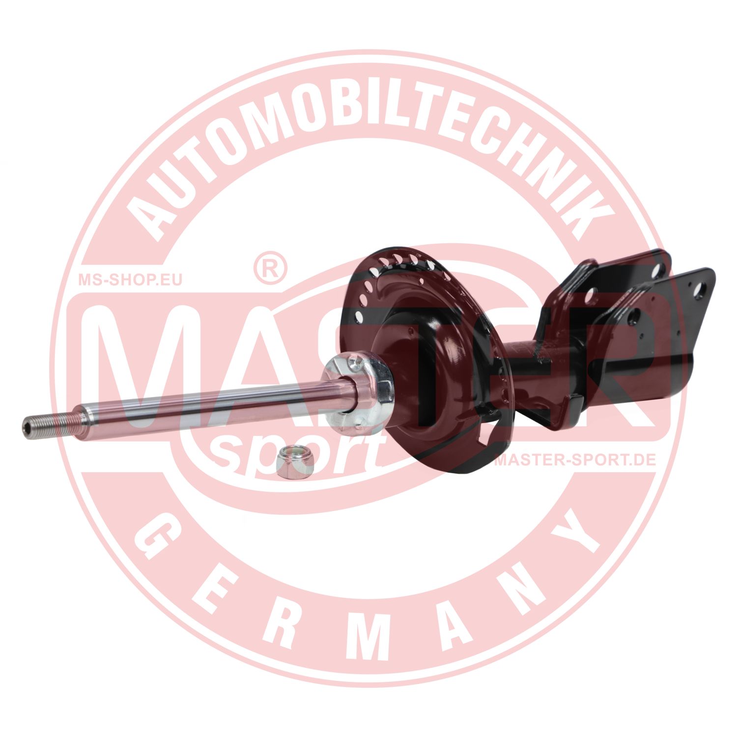 313802-PCS-MS