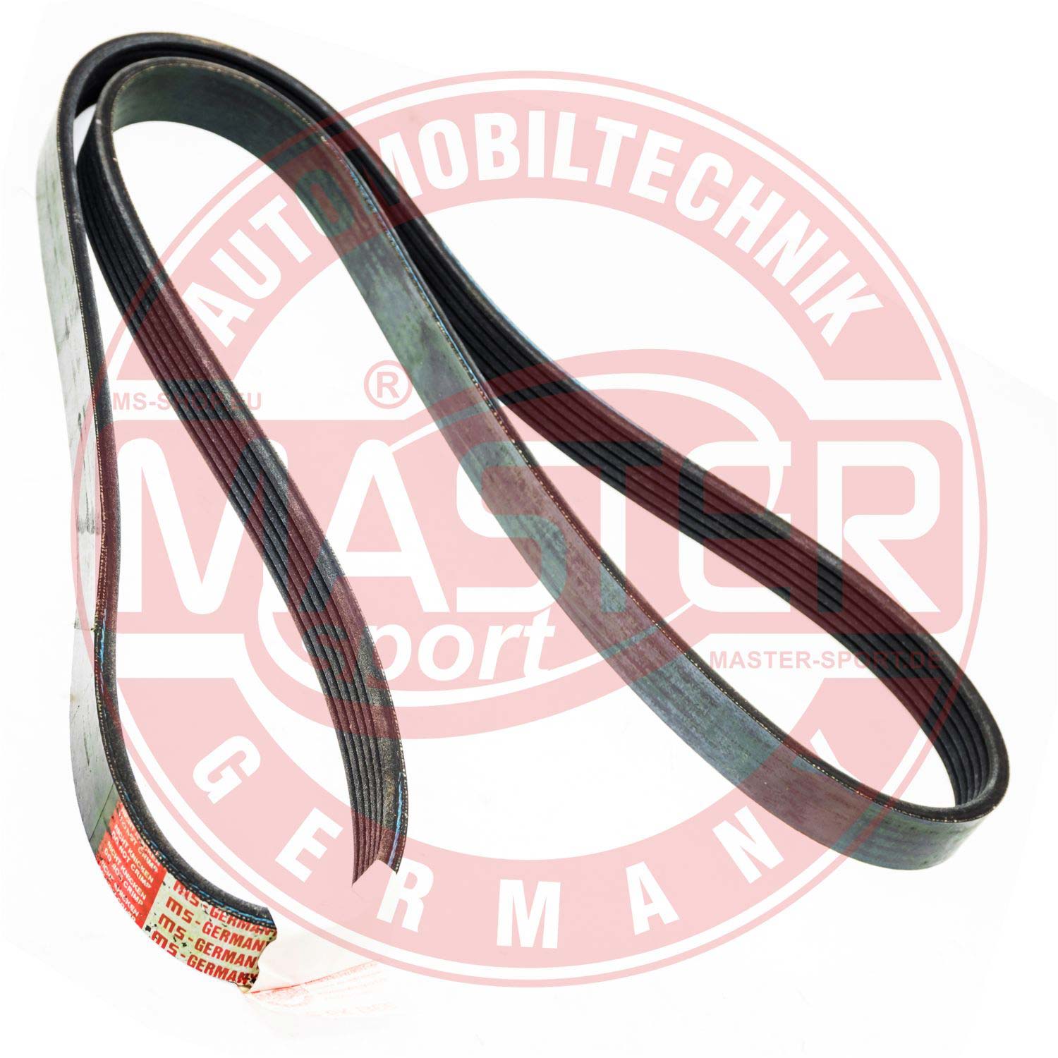 6PK1365-PCS-MS