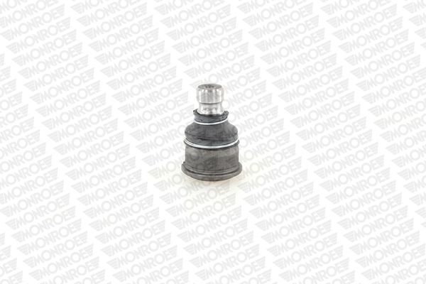 L25518