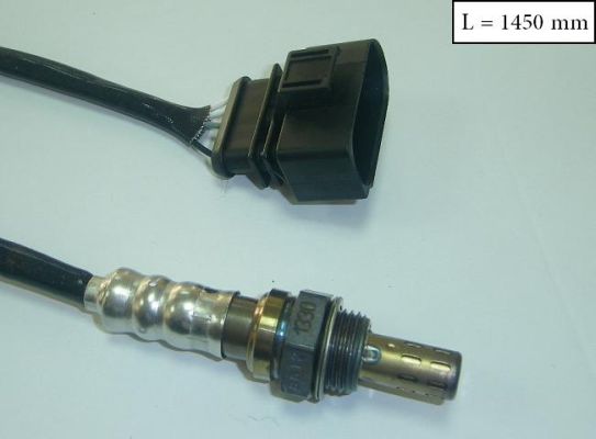SLS-13312