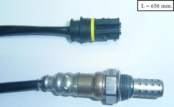 SLS-13317