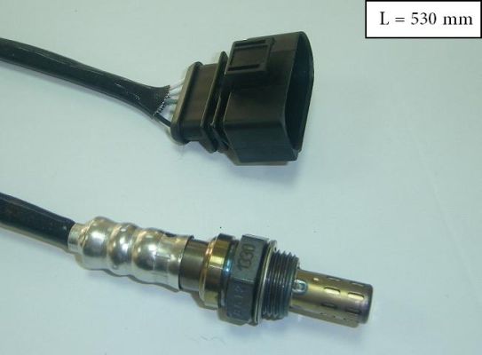SLS-13172