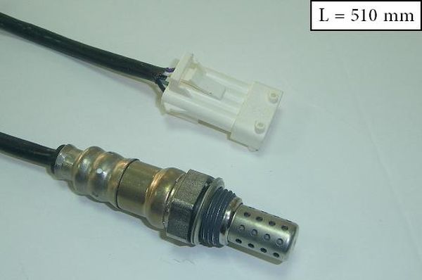 SLS-13173