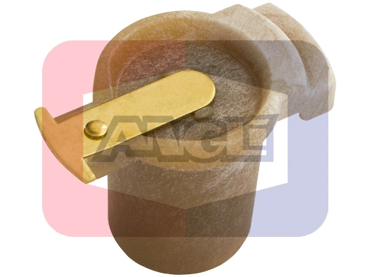 3255
