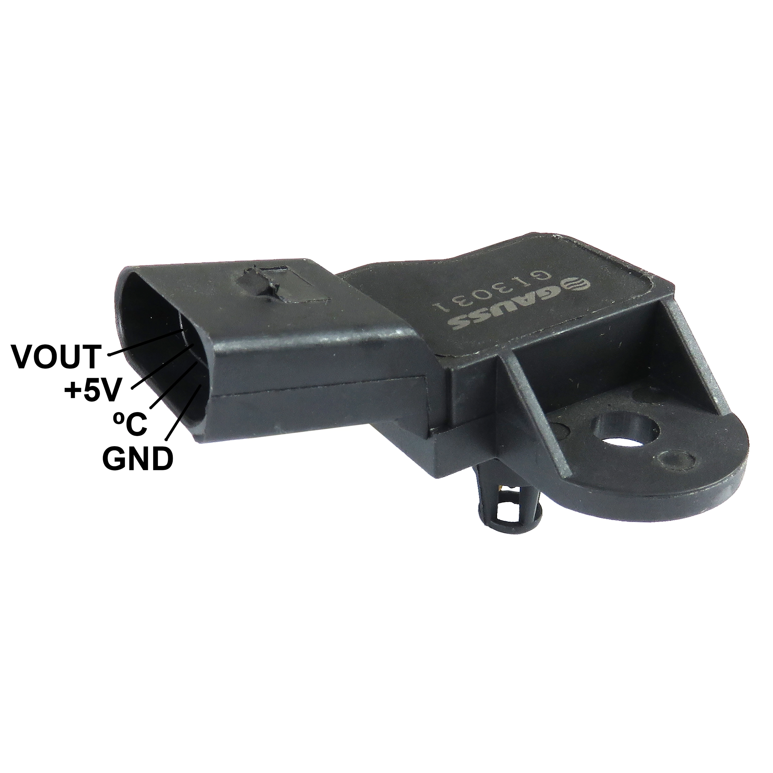 GI3031