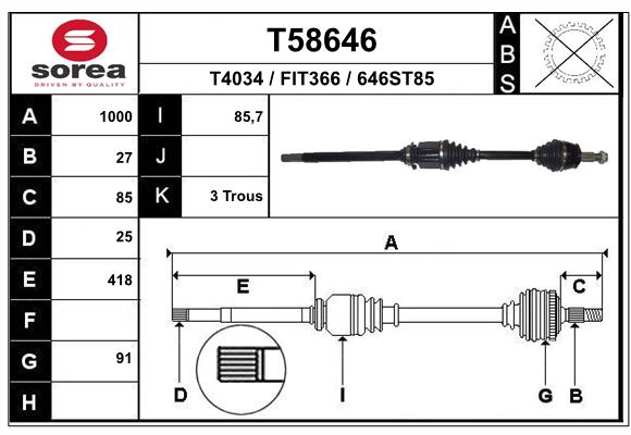 T58646