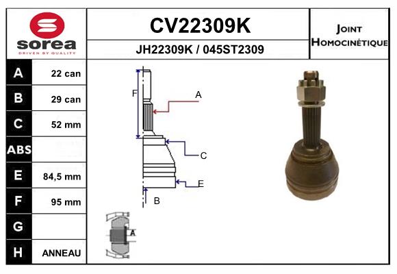 CV22309K