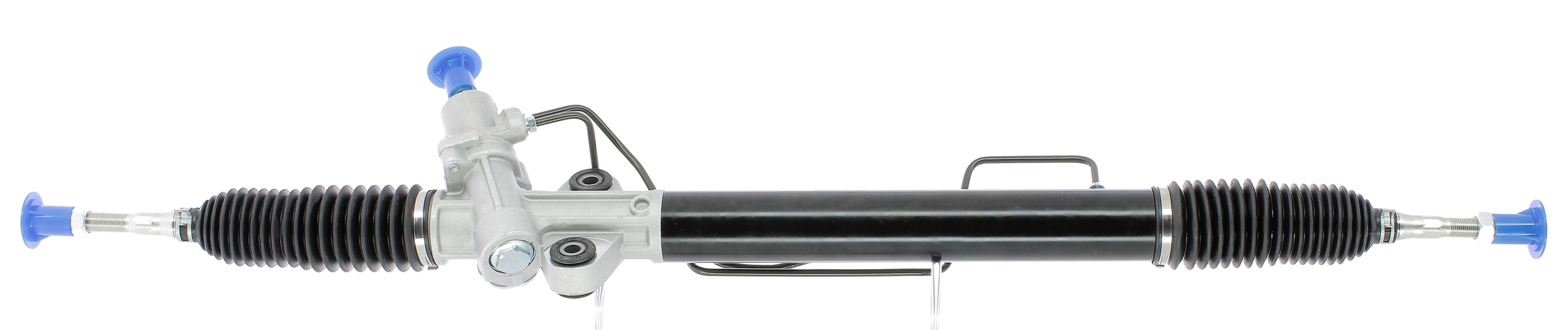 OL113230