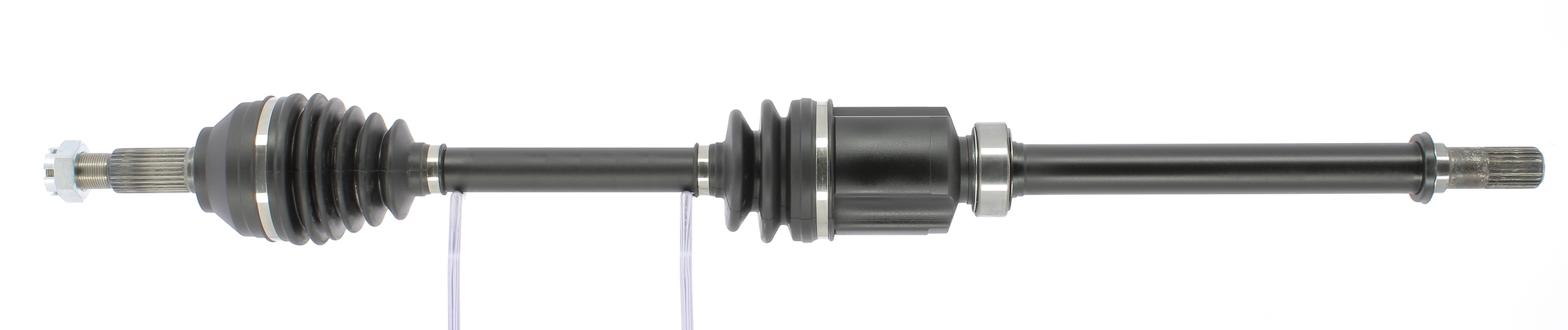 OL5555