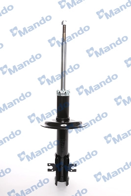 MSS016170