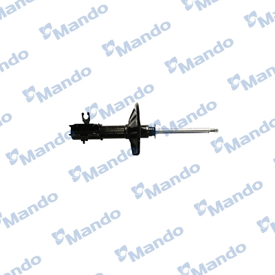 MSS017408