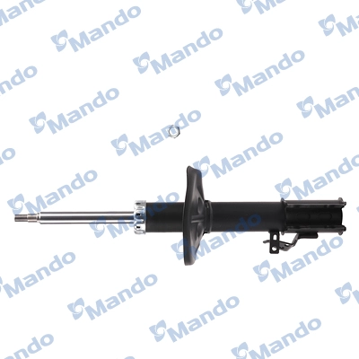 MSS015845
