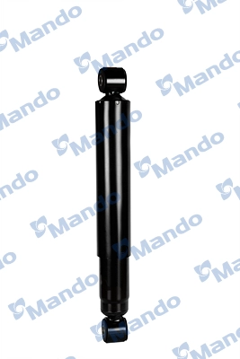 MSS016704