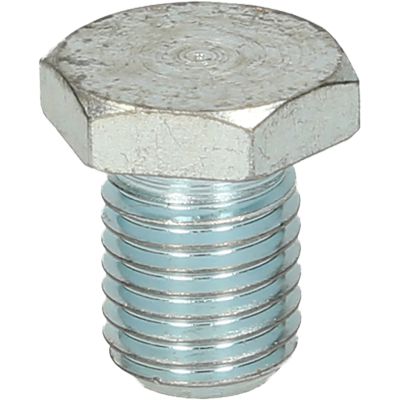 4300019