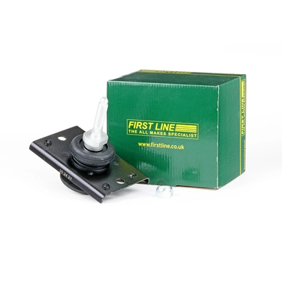 FEM3679