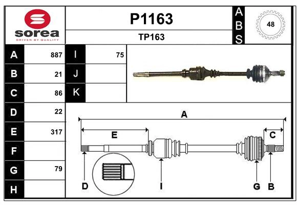 P1163