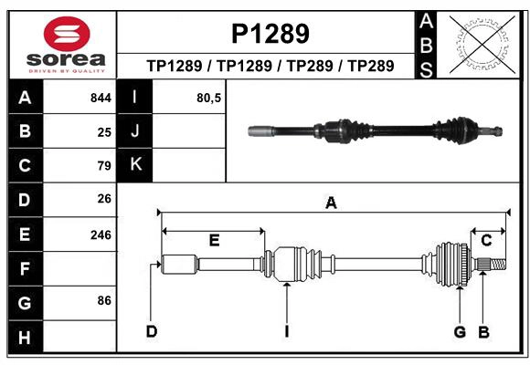 P1289