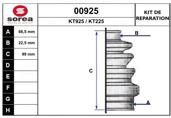 31256231