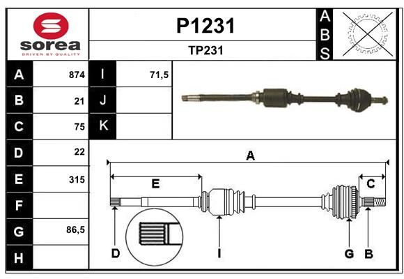 P1231