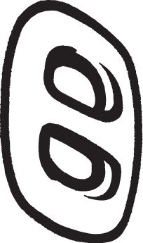 255-829
