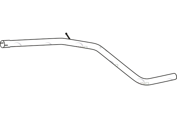 P19026