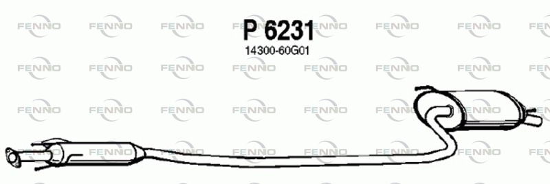 P6231