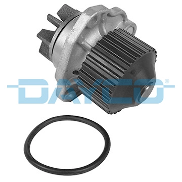 DP193