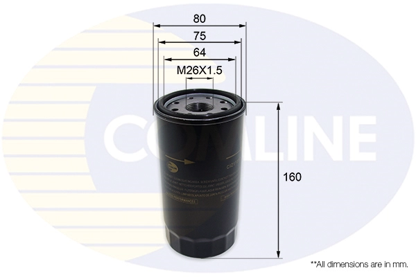 CIZ11010
