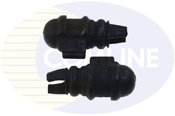 CSRM3007