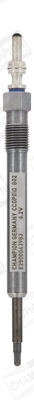 CCGP010
