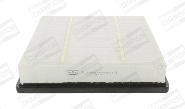 CAF100838P