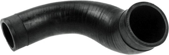 R25256