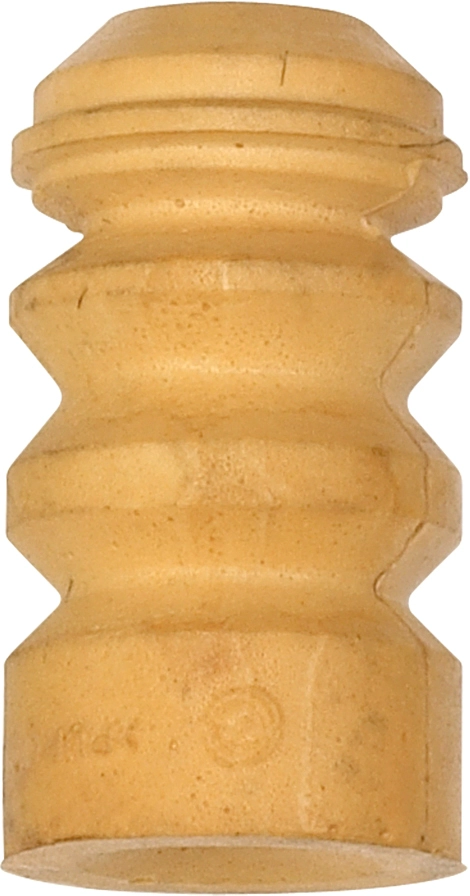 R55198