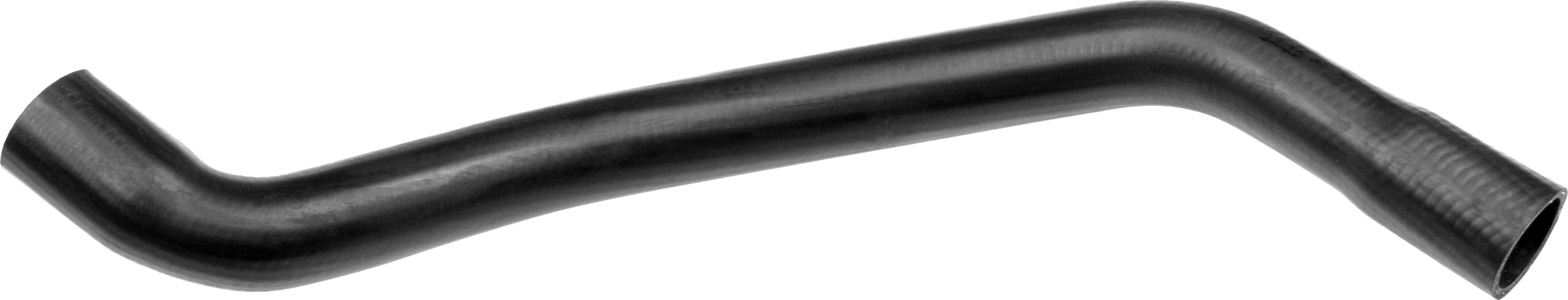 R25981