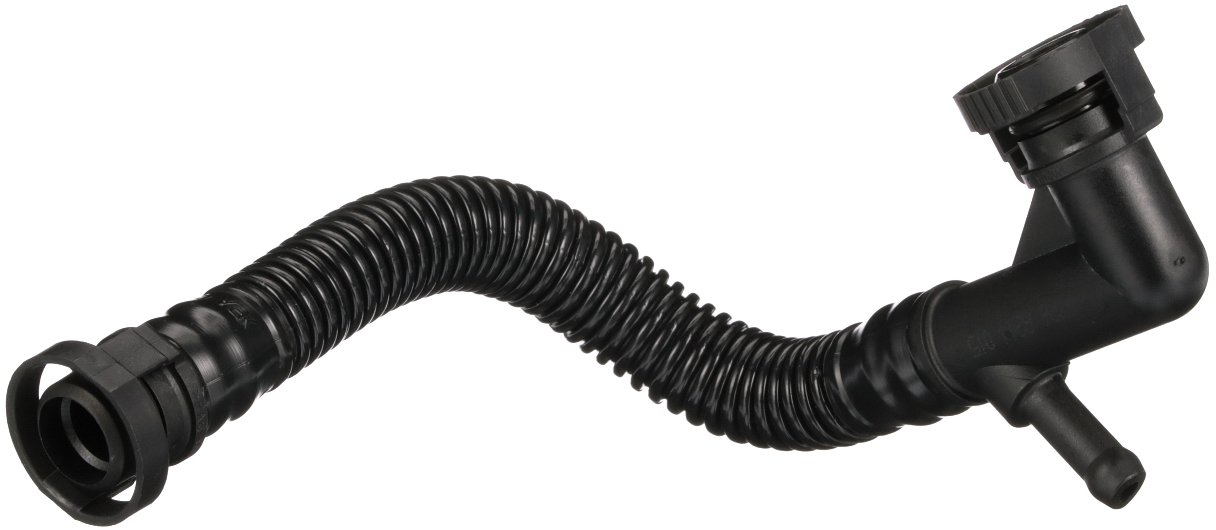 R19561